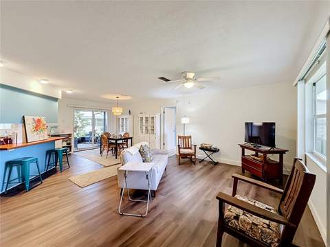1038 Scotch Pine Court, Leesburg FL - photo 6 of 39