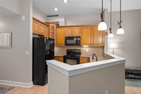701 Mirror Lake Drive #120, St Petersburg FL - photo 21 of 63