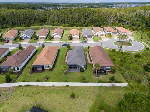 4344 Cairoli Court, Wesley Chapel FL - photo 10 of 55