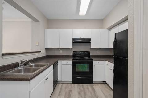 206 E South Street #6007, Orlando FL - photo 6 of 24