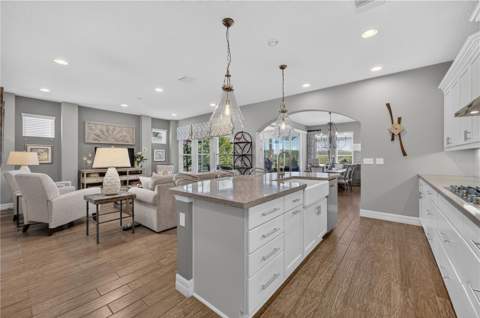 312 Salt Marsh Lane, Groveland FL - photo 14 of 56