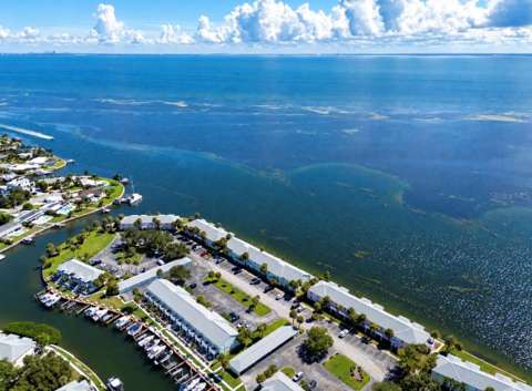 4752 Coquina Key Drive, home for sale in St. Petersburg 33705