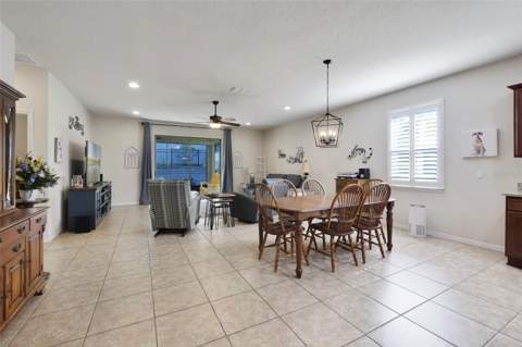 21315 Sorraia Cove, Mount Dora FL - photo 15 of 33