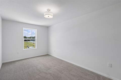 34563 Turpins Avenue, Zephyrhills FL - photo 17 of 27