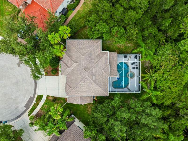 4 bedroom Single Family Residence at 10201 Garden Alcove Drive, Arbor Greene Ph 1, Tampa — photo 2