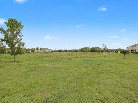 10942 Verawood Drive, Riverview FL - photo 18 of 28