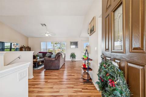 1059 S Pointe Alexis Dr, Tarpon Springs FL - photo 6 of 80