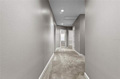 11504 Bellamar Street, Tampa FL - photo 20 of 40