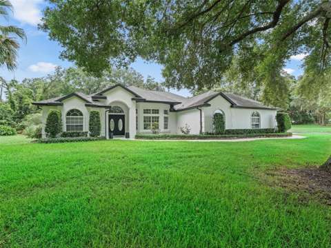 6975 NW Highway 225A, luxury home for sale in Ocala