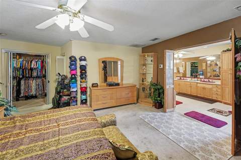 3061 Alt 19, Palm Harbor FL - photo 15 of 30