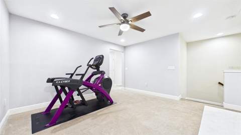 14140 Damselfly Drive, Tampa FL - photo 21 of 61