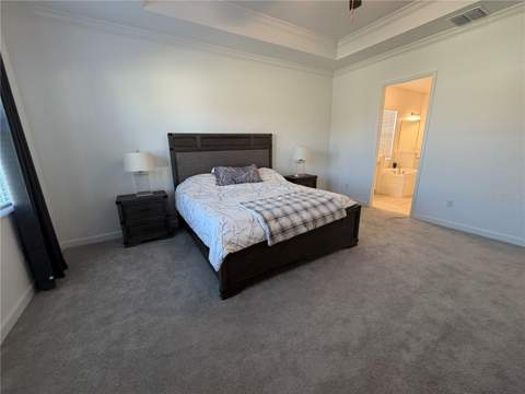 17165 Scuba Crest Street, Wimauma FL - photo 23 of 54