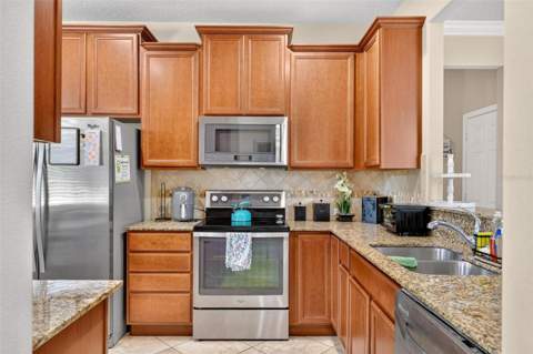 30539 Lipizzan Terrace, Mount Dora FL - photo 8 of 64