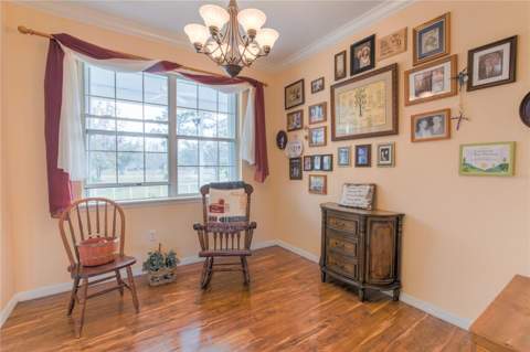 20351 Sabal Street, Orlando FL - photo 15 of 35
