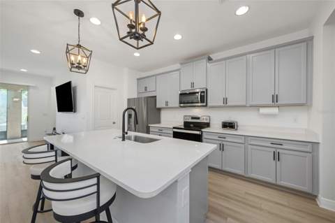 14203 Damselfly Drive, Tampa FL - photo 14 of 68