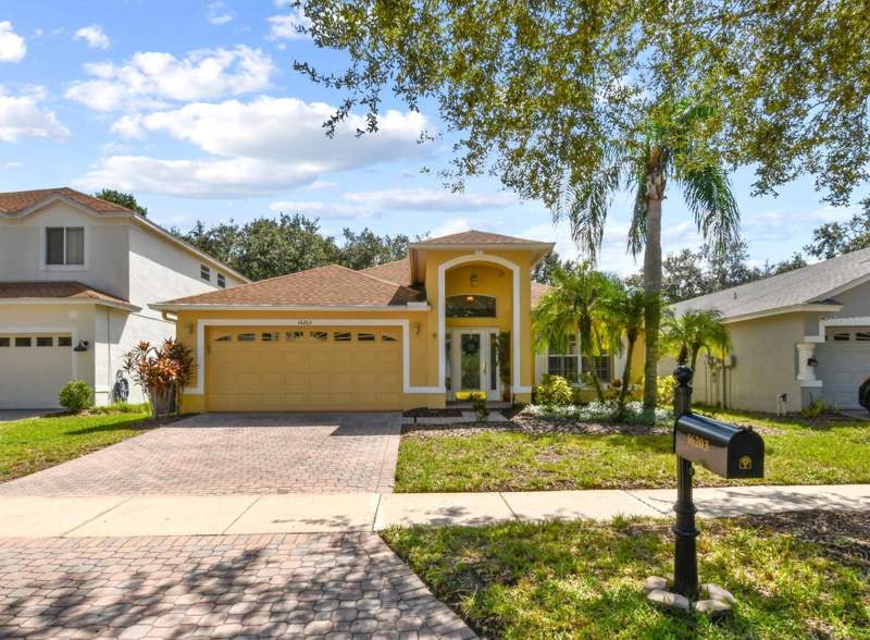 Tampa Palms Area