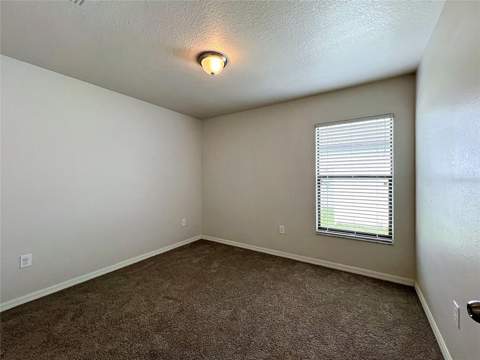 36095 Carriage Pine Court, Zephyrhills FL - photo 23 of 28