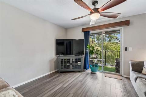 4755 Tuscan Loon Drive, Tampa FL - photo 6 of 34