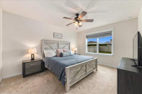 5244 Greenheart Avenue, Mount Dora FL - photo 11 of 28