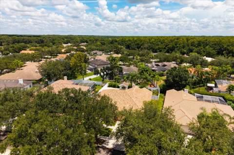 1723 Captiva Drive, Oldsmar FL - photo 6 of 6