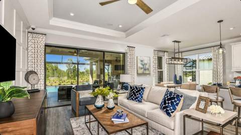 3946 Masaniello Way, Wesley Chapel FL - photo 9 of 27