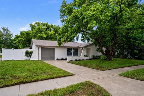 11928 Temple Ct, home for sale in Seminole 33772