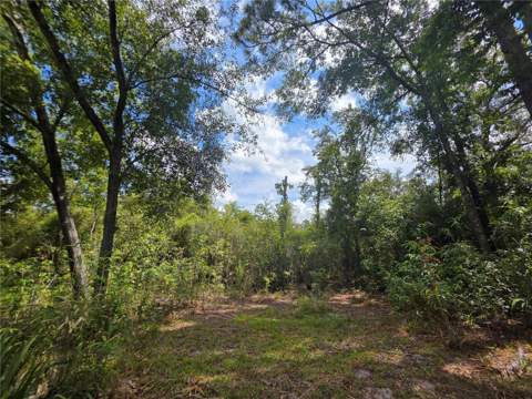 13117 N County Road 225, Gainesville FL - photo 15 of 16