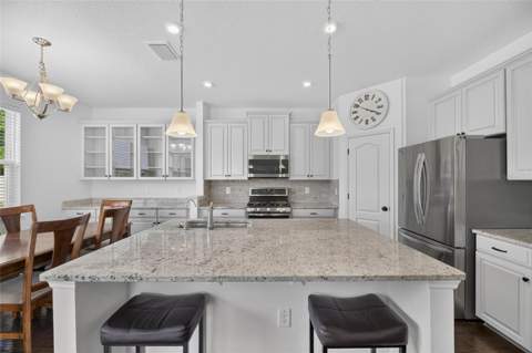 12234 Blue Pacific Drive, Riverview FL - photo 14 of 74