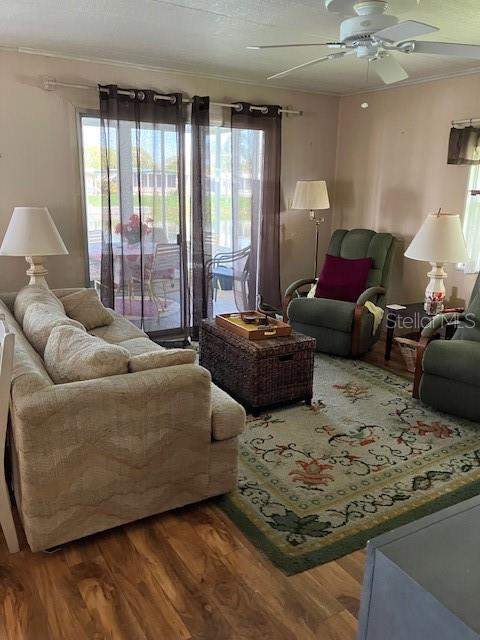 3201 Brewster Drive, Holiday FL - photo 7 of 21