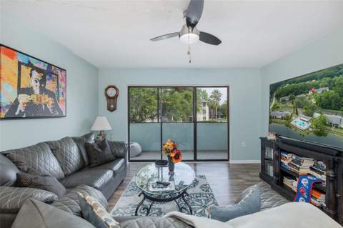 3166 Lake Pine Way #A2, Tarpon Springs FL - photo 17 of 45