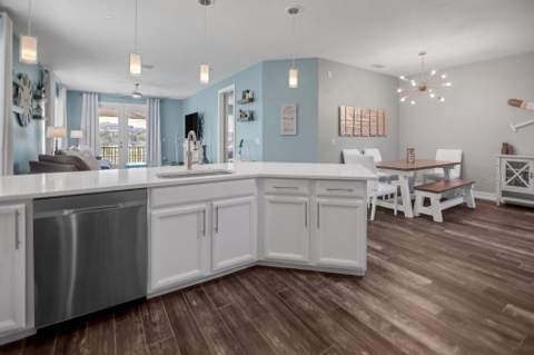 1340 Ribolla Drive, Palm Harbor FL - photo 6 of 6