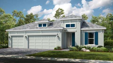 29668 Imperati Boulevard, home for sale in Wesley Chapel 33543