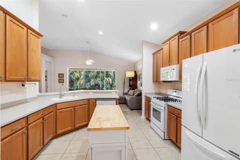 5335 Clover Mist Drive, Apollo Beach FL - photo 13 of 44