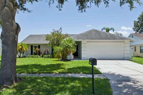 16117 Pebblebrook Drive, home for sale in Tampa 33624
