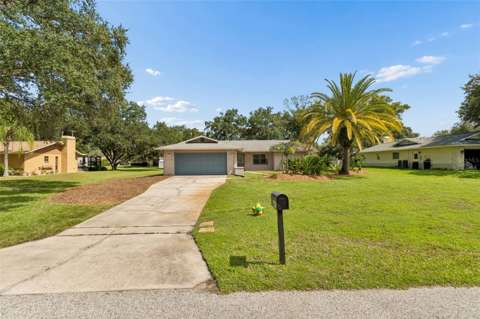 9329 Amazon Drive, home for sale in New Port Richey 34655