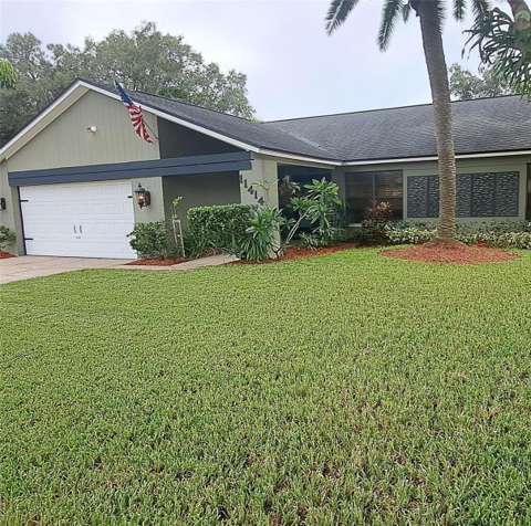 11414 Country Oaks Drive, home for sale in Tampa 33618