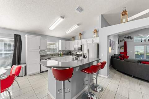 8060 Santee Drive, Kissimmee FL - photo 10 of 66