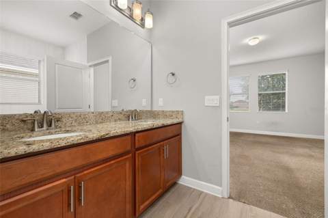 14157 Gold Bridge Drive, Orlando FL - photo 21 of 37