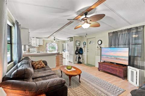 36401 5 Acre Lane, Zephyrhills FL - photo 14 of 35