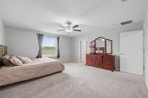 4710 Wild Senna Boulevard, Tampa FL - photo 23 of 49
