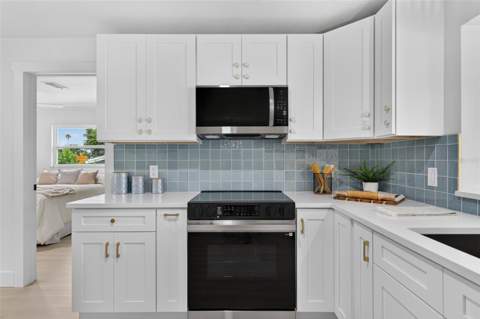 3538 Shady Bluff Drive, Largo FL - photo 23 of 67
