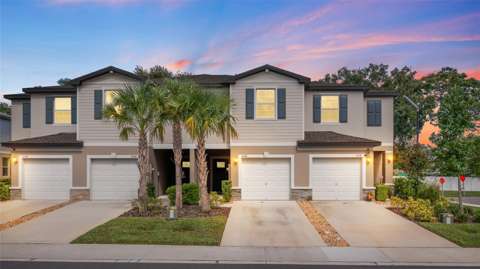 6140 Shiner Street, home for sale in Land O' Lakes 34638