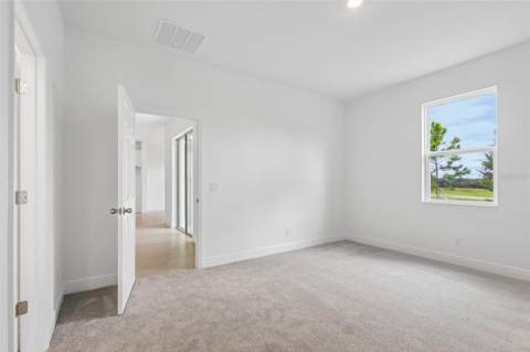 7272 Rolling Leaf Road, Groveland FL - photo 10 of 31