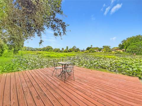 3229 Covina Street, New Port Richey FL - photo 8 of 75