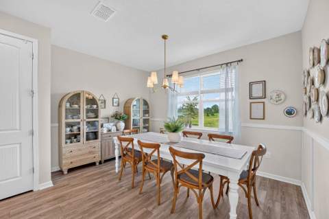 17684 Saw Palmetto Avenue, Clermont FL - photo 9 of 60