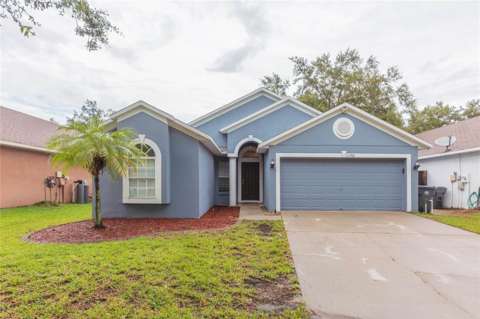 11706 Pure Pebble Drive, home for sale in Riverview 33569