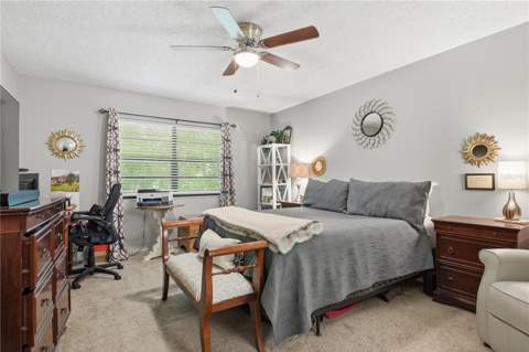 4041 Arrowwood Court #4041, Palm Harbor FL - photo 12 of 32