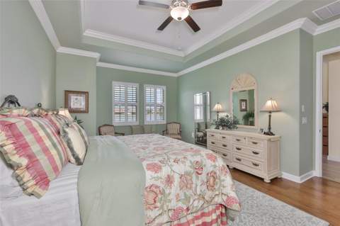 16955 Scuba Crest Street, Wimauma FL - photo 19 of 59