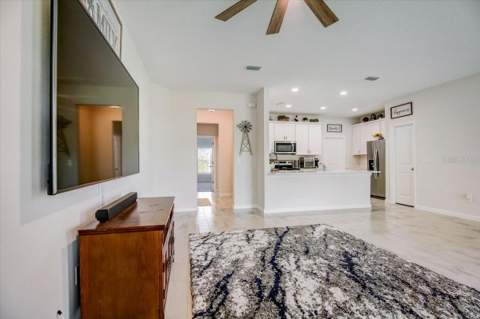 10916 Quickwater Court, Riverview FL - photo 10 of 42