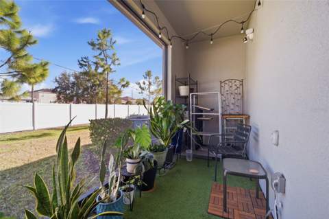 4459 Globe Thistle Drive, Tampa FL - photo 10 of 56